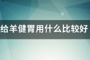 给羊健胃用什么比较好 给羊健胃用什么比较好