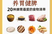 什么东西最养胃修复胃,什么东西最养胃