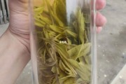 雨前茶歌词安静雨前茶 雨前茶歌词安静雨前茶