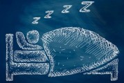 睡眠质量差怎么调整的简单介绍