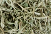中国金银花之乡在哪里金银花哪里的产地最好