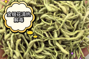 喝金银花有什么功效和禁忌喝金银花有什么功效