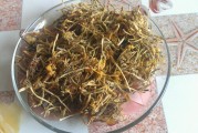 下厨房金银花免费阅读笔趣阁,金银花《下厨房》原文十五天
