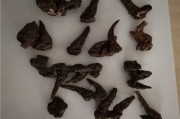 生草乌和生川乌的区别生草乌