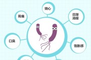 小孩幽门螺旋杆菌什么症状啊,小孩幽门螺旋杆菌什么症状啊吃什么药