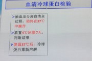 球蛋白偏低吃什么调理球蛋白偏低
