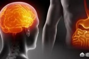 听说肠子是人的第二大脑，有科学依据吗？