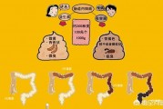 如果肠道出现了问题，该如何调养呢？