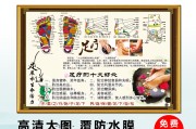 双足与保健双足与保健影响因子 双足与保健双足与保健影响因子