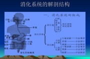 消化道消化道穿孔