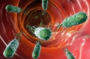 胃炎、胃溃疡是因为幽门螺杆菌吗？