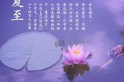 夏至节气该如何防暑养生的简单介绍