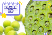 莲子的功效与作用莲子的功效与作用怎么吃