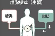 生酮减肥生酮减肥法的危害