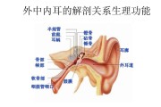 中耳,排出中耳积液的手法