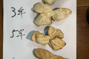 陈皮和橘子皮有什么区别陈皮是什么橘子橘子皮与陈皮有什么区别