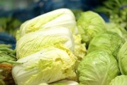 白菜的特征和颜色是什么白菜的特征