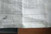 单核细胞百分比,单核细胞轻微偏高说明什么 单核细胞百分比,单核细胞轻微偏高说明什么