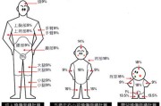 腹部九分法图片器官图腹部九分法
