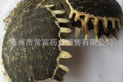 醋鳖甲和鳖甲的功效一样吗醋鳖甲