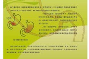 胃幽门螺杆菌感染是什么意思幽门螺旋杆菌感染是什么意思
