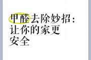 甲醛怎么去除比较快知乎甲醛怎么去除最有效呢,快来听听专家的说法吧