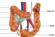 什么叫结肠炎？