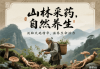 999低糖养胃舒颗粒：守护肠胃，舒缓生活