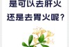 金银花露：传统中药制品的真实身份与正确使用