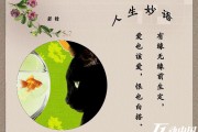 关于酒的妙语秋天关于酒的妙语