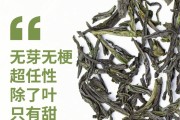 六安瓜片茶,六安瓜片茶叶等级划分标准
