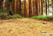 你认为坚持跳减肥操一个月可以瘦下来吗? 你认为坚持跳减肥操一个月可以瘦下来吗?