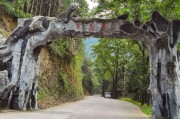 安化茶马古道,安化茶马古道风景区 安化茶马古道,安化茶马古道风景区