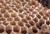 中药蜂房的功效和作用是什么,中药蜂房