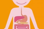 肠道，一个最值得被重视的器官