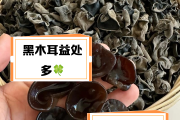 黑木耳减肥,木耳减肥一周瘦10斤