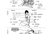 倪海厦引心火入小肠中成药倪海厦引心火入小肠