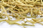 金银花的功效与作用及禁忌症,金银花泡水喝对身体有什么好处