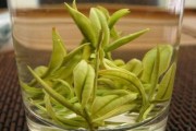 四大名茶之一的龙井茶产地是四大名茶之一的龙井茶产地是苏州 四大名茶之一的龙井茶产地是四大名茶之一的龙井茶产地是苏州