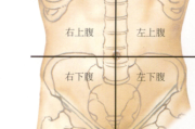 腹部ct能检查出什么腹部