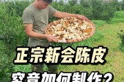 橘子皮怎样做成陈皮,橘子皮怎样才能做成陈皮