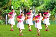 广场健身舞视频教学,广场健身舞视频