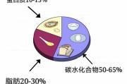 一天碳水一天蛋白质减肥法,蛋白质减肥