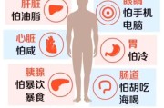 排毒减肥片多少钱一盒,排毒能减肥