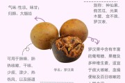 罗汉果的功效与作用和主治,罗汉果的功效与作用 罗汉果的功效与作用和主治,罗汉果的功效与作用