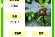 五指毛桃的功效土茯苓的功效五指毛桃的功效