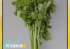 什么菜能减肥,肥胖人吃什么菜能减肥