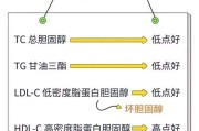载脂蛋白A1偏低一丢丢,载脂蛋白a1偏低