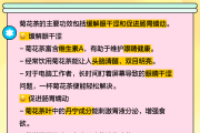枸杞菊花茶可以天天喝吗,菊花茶可以天天喝吗