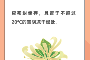 学院金银花露写了什么文学院 金银花露全文